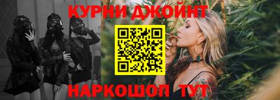 гидра Краснознаменск