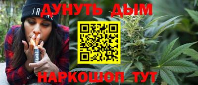 гидра Краснознаменск