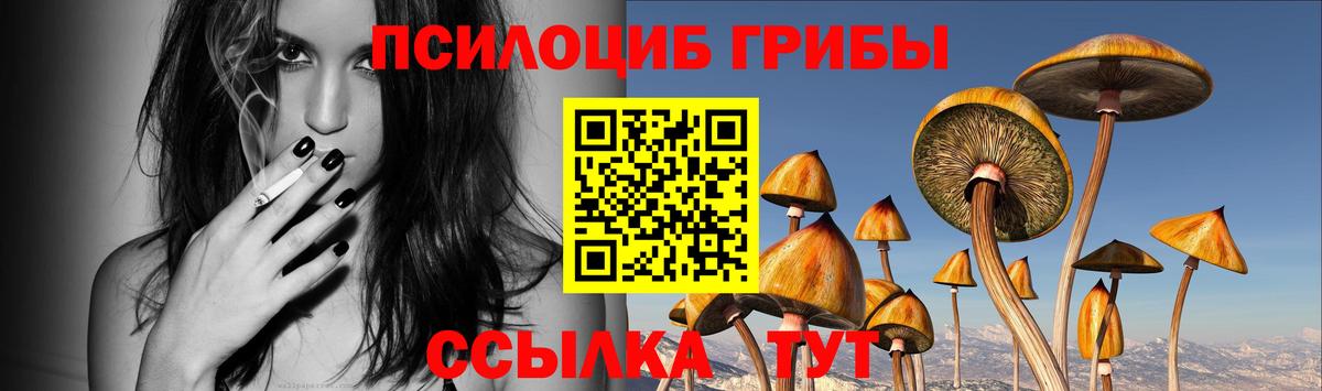 купить  сайты  Псилоцибиновые грибы Psilocybine cubensis  Вход с VPN  Кимры 